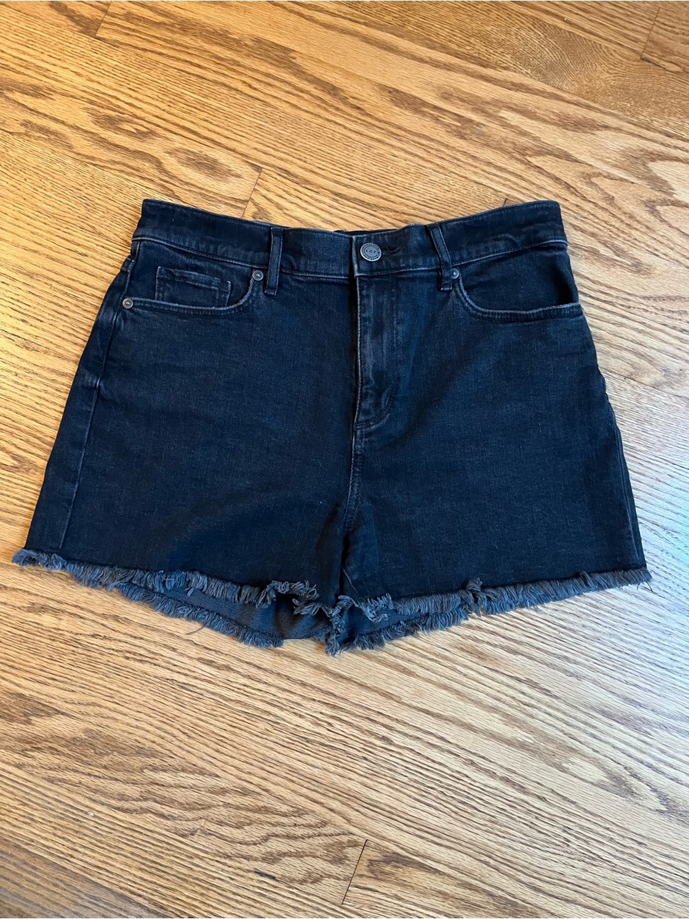 Women’s Loft Denim Shorts